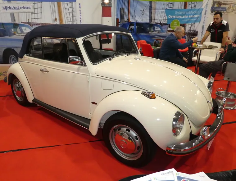 Beetle 1302