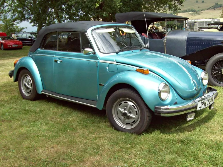 Beetle 1303