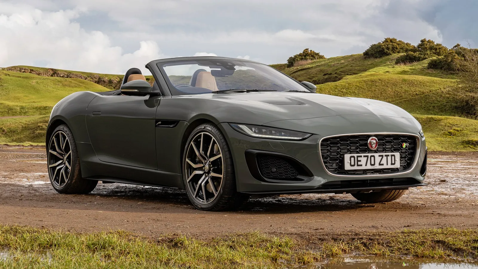 F-Type