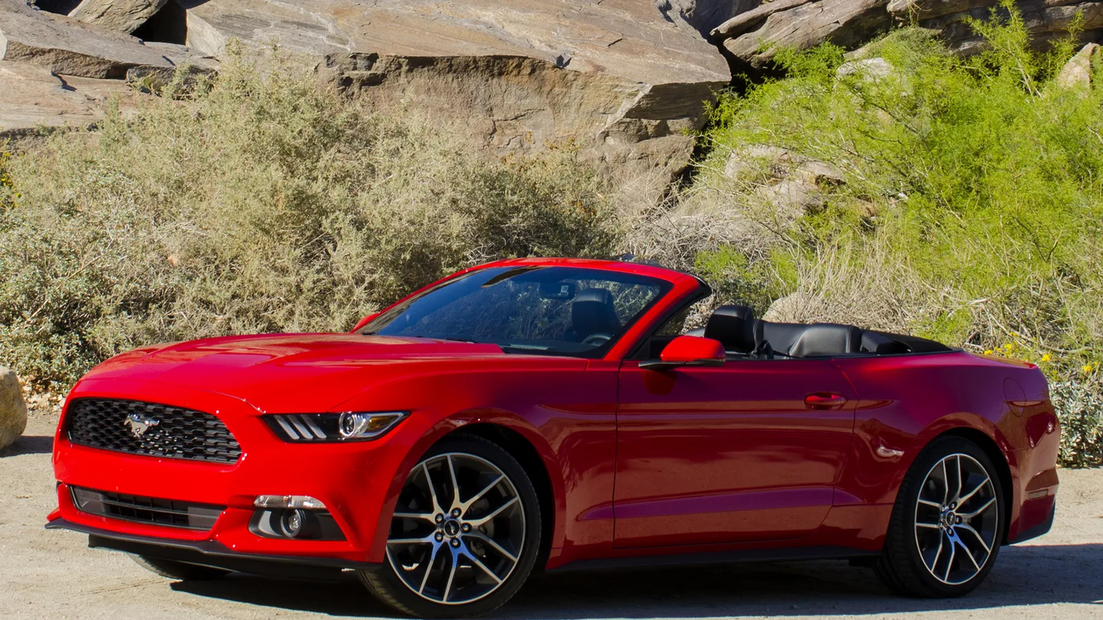 Mustang VI