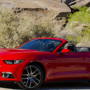 Mustang VI