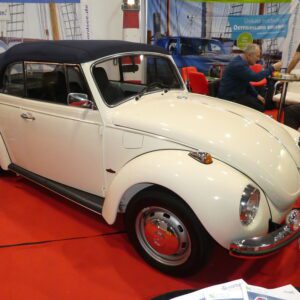 Beetle 1302