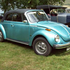 Beetle 1303