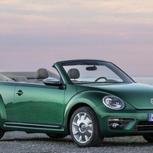 Beetle (A5)